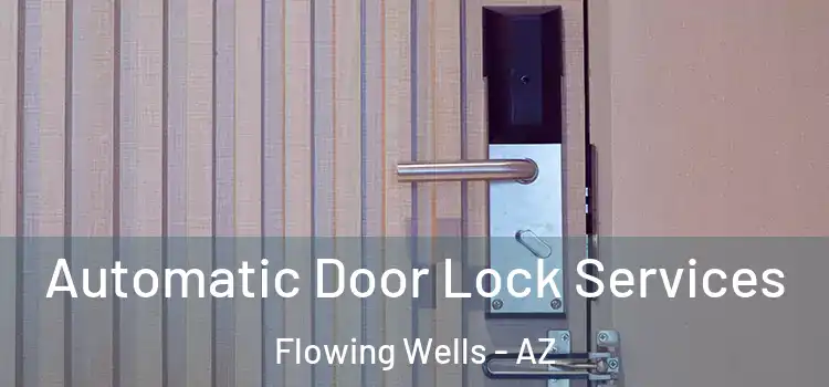 Automatic Door Lock Services Flowing Wells - AZ