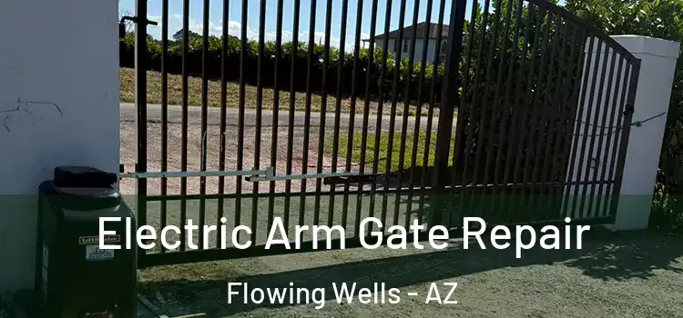  Electric Arm Gate Repair Flowing Wells - AZ