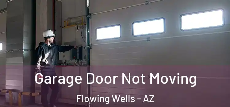  Garage Door Not Moving Flowing Wells - AZ