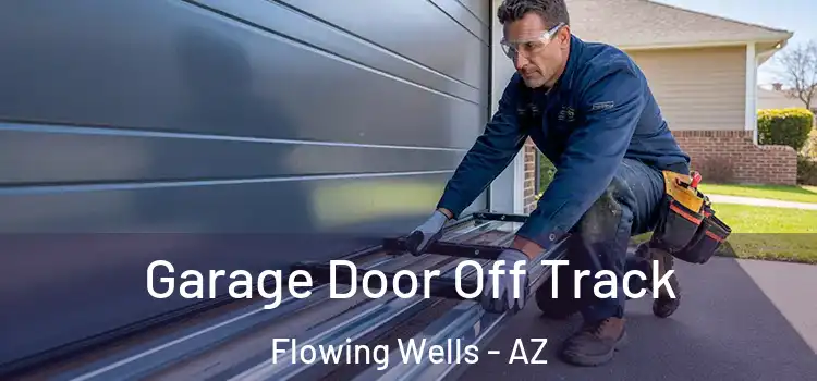  Garage Door Off Track Flowing Wells - AZ