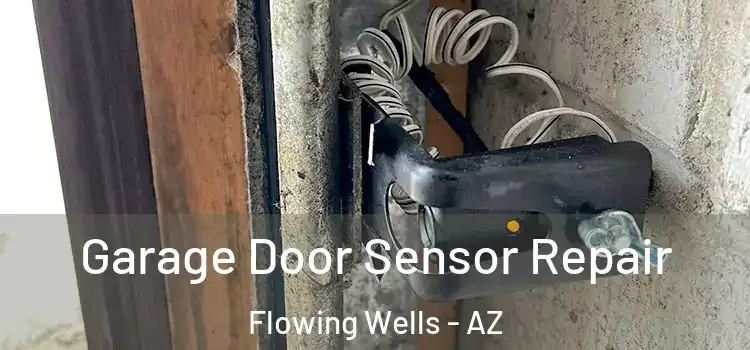  Garage Door Sensor Repair Flowing Wells - AZ