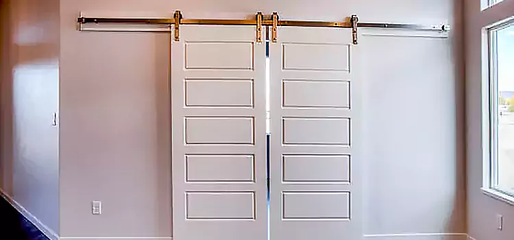 Glass Barn Door with Installation Hardware Kit Flowing Wells