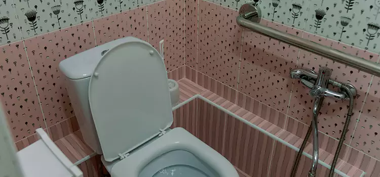 Meeting Diverse Needs With Accessible Restroom Solutions in Flowing Wells, AZ