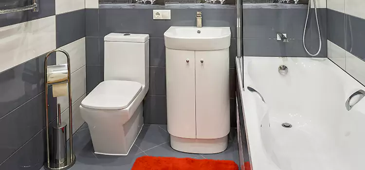 Hansgrohe Shaving Mirror Flowing Wells