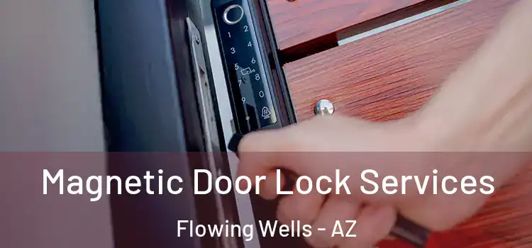 Magnetic Door Lock Services Flowing Wells - AZ