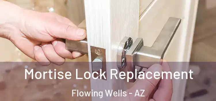  Mortise Lock Replacement Flowing Wells - AZ